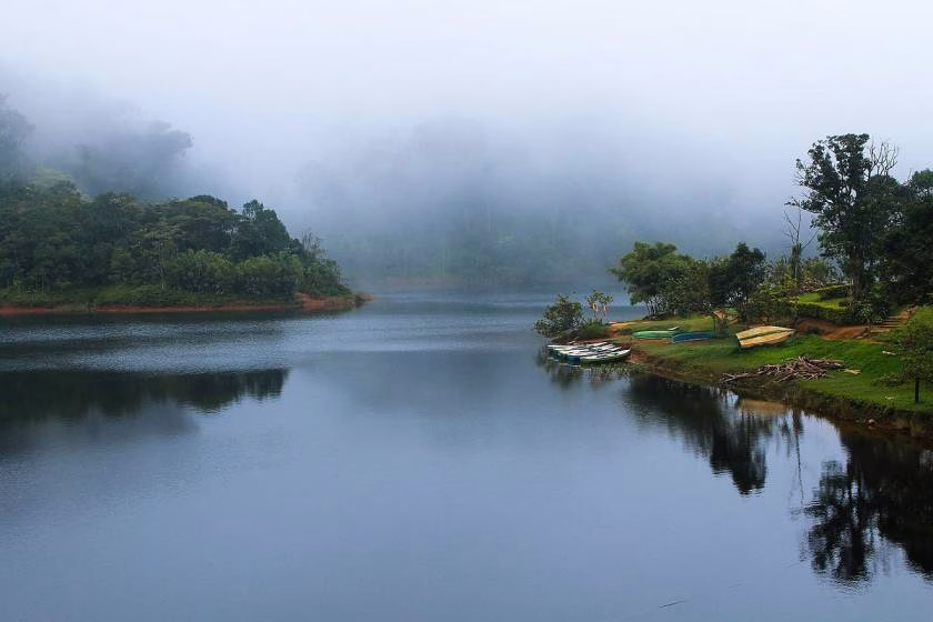 Gavi Kerala
