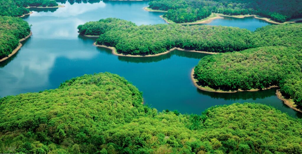 Parambikulam Wildlife Sanctuary