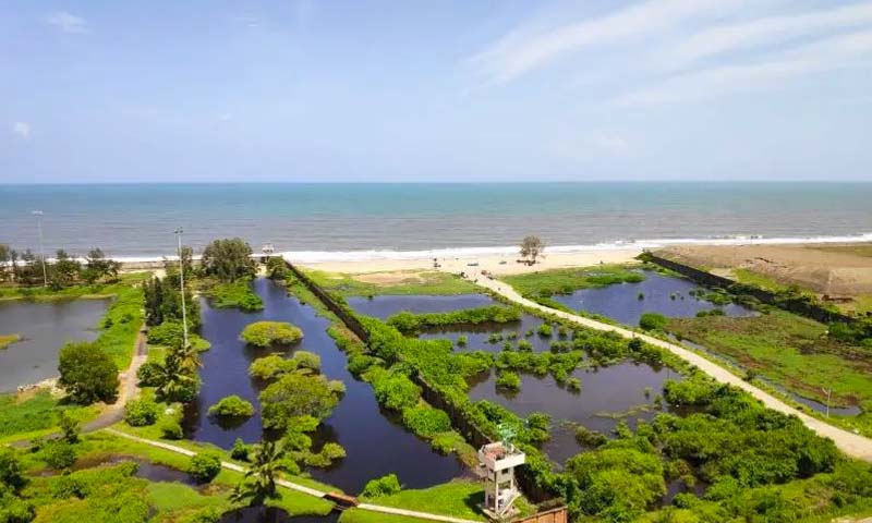 Puthuvype Beach