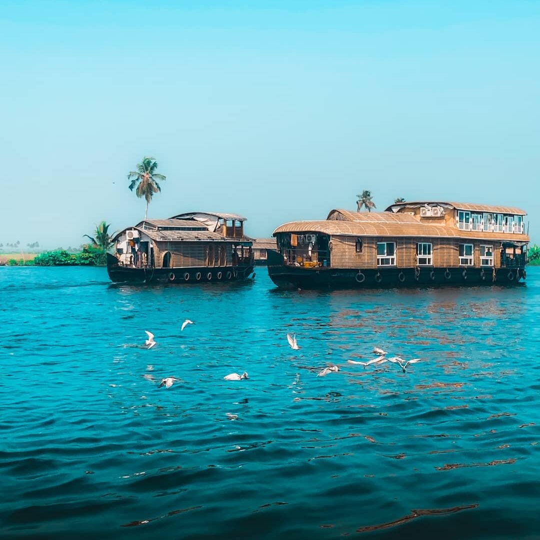 kuttanad backwater